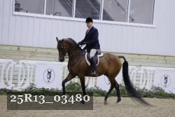 25R13_03480 thumbnail