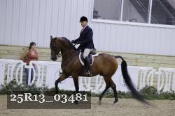 25R13_03481 thumbnail