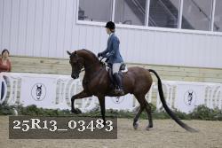 25R13_03483 thumbnail