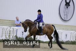 25R13_03484 thumbnail