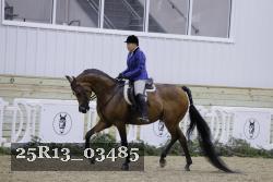 25R13_03485 thumbnail