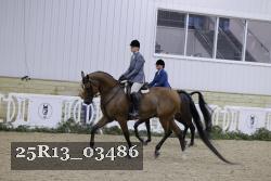 25R13_03486 thumbnail