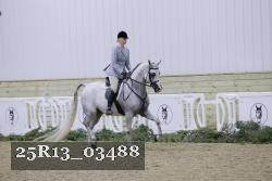 25R13_03488 thumbnail
