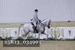 25R13_03490 thumbnail