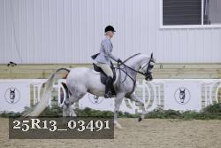 25R13_03491 thumbnail