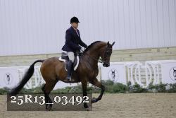 25R13_03492 thumbnail