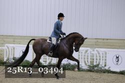 25R13_03494 thumbnail