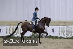 25R13_03495 thumbnail