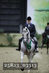 25R13_03513 thumbnail