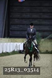 25R13_03514 thumbnail