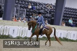 25R13_03519 thumbnail