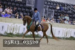 25R13_03520 thumbnail
