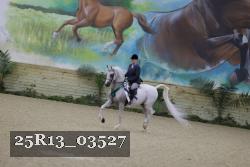 25R13_03527 thumbnail