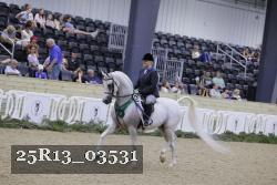 25R13_03531 thumbnail