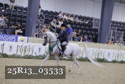 25R13_03533 thumbnail