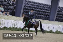 25R13_03538 thumbnail