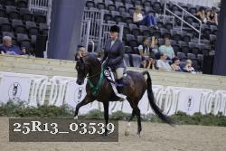 25R13_03539 thumbnail