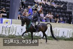 25R13_03540 thumbnail