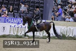 25R13_03541 thumbnail
