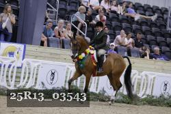 25R13_03543 thumbnail