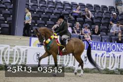 25R13_03545 thumbnail