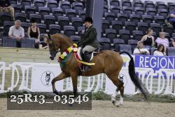 25R13_03546 thumbnail