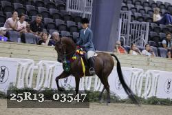 25R13_03547 thumbnail