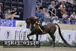 25R13_03548 thumbnail