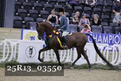 25R13_03550 thumbnail