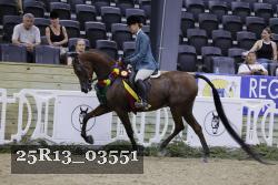 25R13_03551 thumbnail