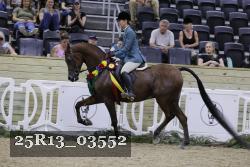 25R13_03552 thumbnail