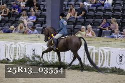 25R13_03554 thumbnail