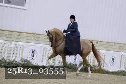 25R13_03555 thumbnail
