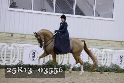 25R13_03556 thumbnail