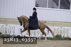 25R13_03557 thumbnail