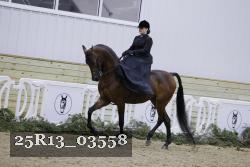 25R13_03558 thumbnail