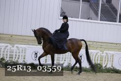 25R13_03559 thumbnail