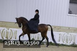 25R13_03560 thumbnail