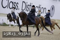 25R13_03561 thumbnail