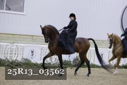 25R13_03562 thumbnail