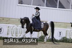 25R13_03564 thumbnail