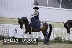 25R13_03565 thumbnail