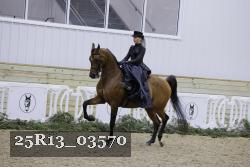 25R13_03570 thumbnail