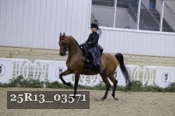 25R13_03571 thumbnail