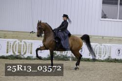 25R13_03572 thumbnail