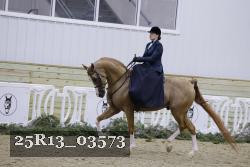25R13_03573 thumbnail
