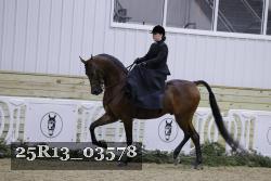 25R13_03578 thumbnail