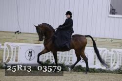 25R13_03579 thumbnail