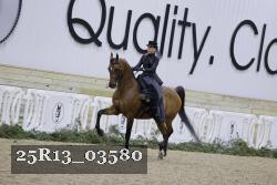 25R13_03580 thumbnail