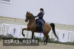 25R13_03582 thumbnail